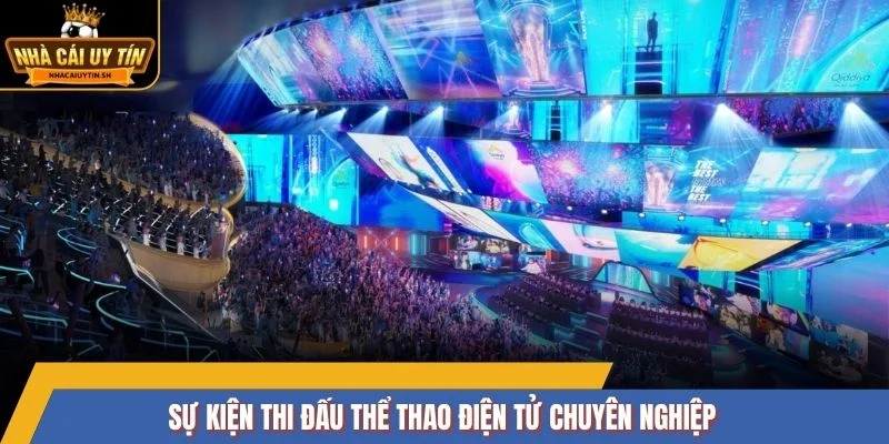 Sự kiện thi đấu thể thao điện tử chuyên nghiệp